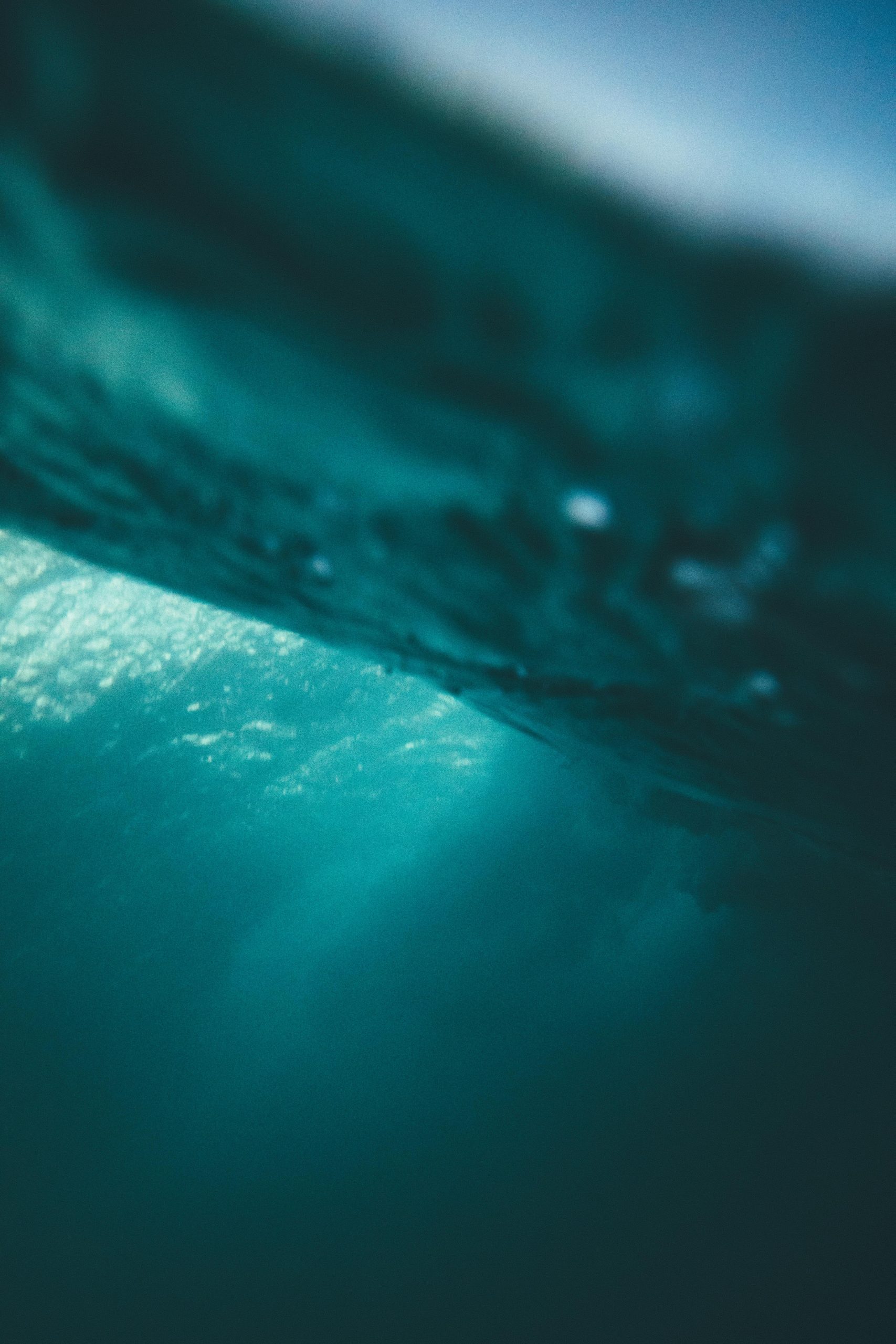 A network for fish farmers and aquaculture operators