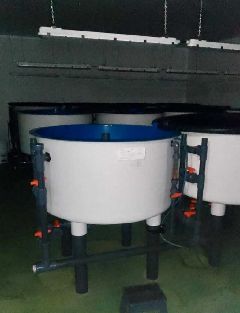 Circular Aquaculture Tanks – 1200 x 660 mm – 16 Available – Wales