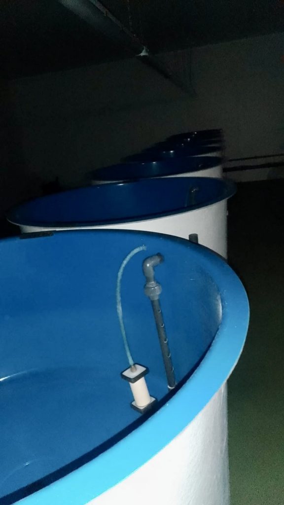 Circular Aquaculture Tanks – 1000 x 500 mm – 16 Available – Wales