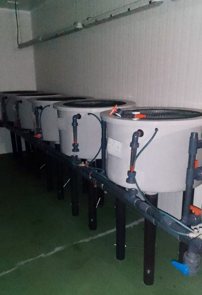 Circular Aquaculture Research Tanks with Mesh Lids – 800 x 480 mm – 12 Available